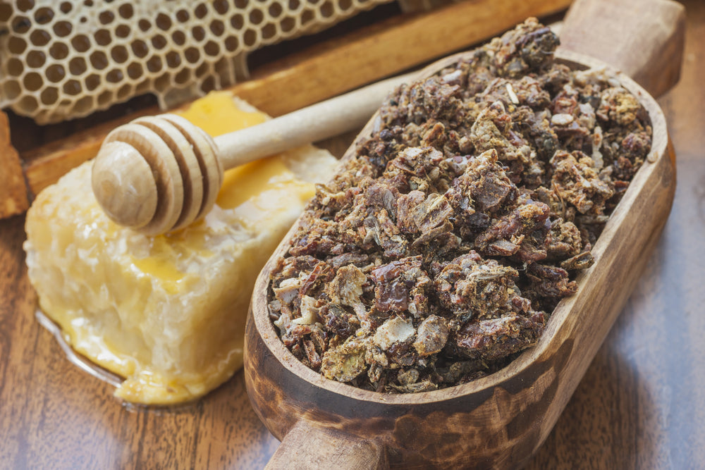 Why Bee Propolis is the Next Big Thing