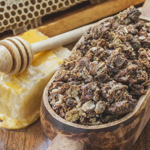 Why Bee Propolis is the Next Big Thing