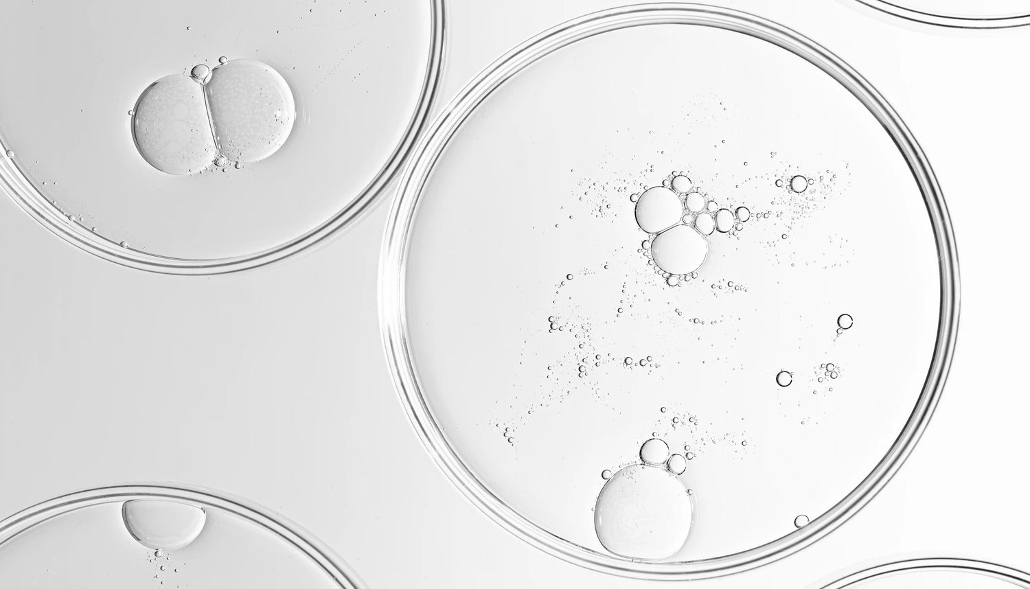 Image of Pentavitin under lab microscope in black and white